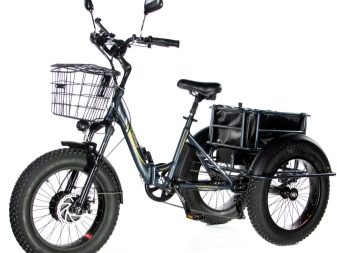 Триколісні електровелосипеди: огляд дитячих і дорослих електричних велосипедів, особливості велосипедів-трициклів для літніх людей