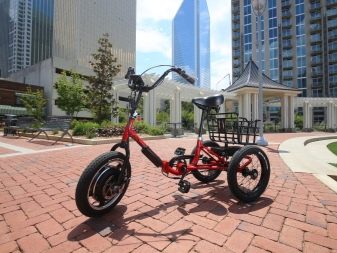 Триколісні електровелосипеди: огляд дитячих і дорослих електричних велосипедів, особливості велосипедів-трициклів для літніх людей