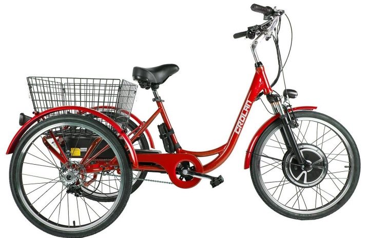 Триколісні електровелосипеди: огляд дитячих і дорослих електричних велосипедів, особливості велосипедів-трициклів для літніх людей