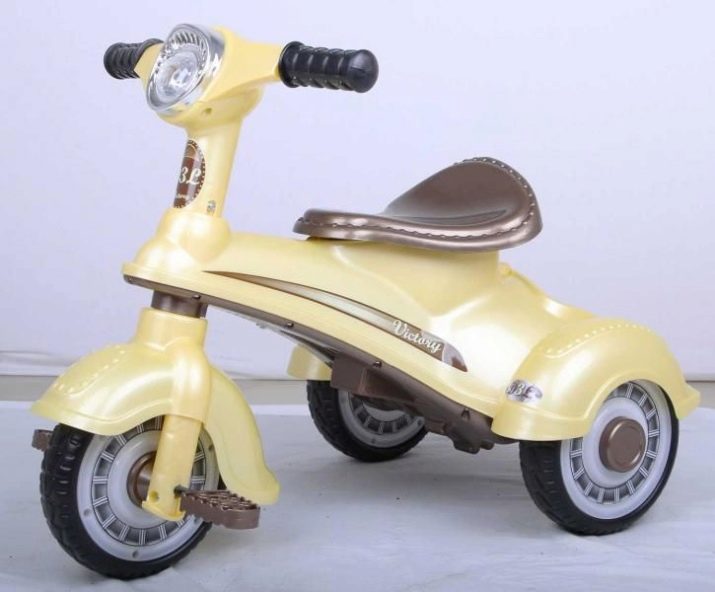 Триколісні електровелосипеди: огляд дитячих і дорослих електричних велосипедів, особливості велосипедів-трициклів для літніх людей