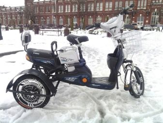 Триколісні електровелосипеди: огляд дитячих і дорослих електричних велосипедів, особливості велосипедів-трициклів для літніх людей