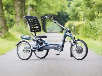 Триколісні електровелосипеди: огляд дитячих і дорослих електричних велосипедів, особливості велосипедів-трициклів для літніх людей