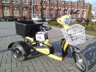 Триколісні електровелосипеди: огляд дитячих і дорослих електричних велосипедів, особливості велосипедів-трициклів для літніх людей