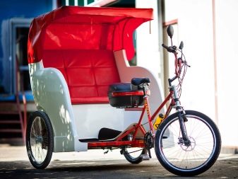 Триколісний велосипед для дорослих (37 фото): вибір моделі з кошиком для літніх людей та інвалідів. Відгуки власників