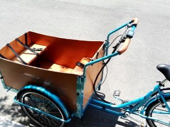 Триколісний велосипед для дорослих (37 фото): вибір моделі з кошиком для літніх людей та інвалідів. Відгуки власників