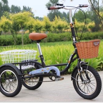 Триколісний велосипед для дорослих (37 фото): вибір моделі з кошиком для літніх людей та інвалідів. Відгуки власників