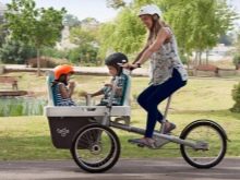 Триколісний велосипед для дорослих (37 фото): вибір моделі з кошиком для літніх людей та інвалідів. Відгуки власників