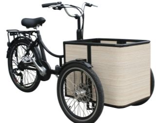 Триколісний велосипед для дорослих (37 фото): вибір моделі з кошиком для літніх людей та інвалідів. Відгуки власників