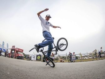 Трюкові велосипеди (31 фото): що таке BMX велосипед? Як називаються маленькі велосипеди для екстремального катання?