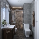 Туалет в стилі лофт (40 фото): варіанти дизайну інтер’єру туалету дуже маленькій площі, вибір унітазу