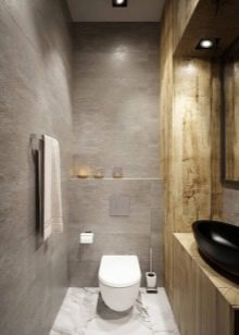 Туалет в стилі лофт (40 фото): варіанти дизайну інтер’єру туалету дуже маленькій площі, вибір унітазу