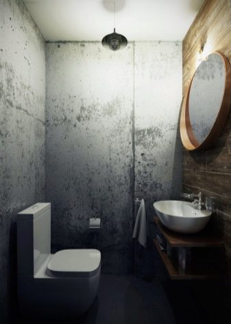 Туалет в стилі лофт (40 фото): варіанти дизайну інтер’єру туалету дуже маленькій площі, вибір унітазу