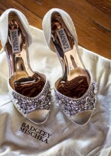 Туфлі Badgley Mischka (65 фото): повсякденні та весільні моделі,як копія відрізняється від оригіналу