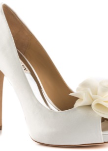 Туфлі Badgley Mischka (65 фото): повсякденні та весільні моделі,як копія відрізняється від оригіналу