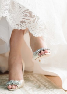 Туфлі Badgley Mischka (65 фото): повсякденні та весільні моделі,як копія відрізняється від оригіналу