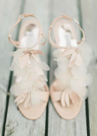 Туфлі Badgley Mischka (65 фото): повсякденні та весільні моделі,як копія відрізняється від оригіналу