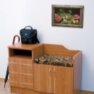 Тумба з сидінням в передпокій (52 фото): види тумбочок з м’яким сидінням у коридор. Особливості дизайну і правила вибору