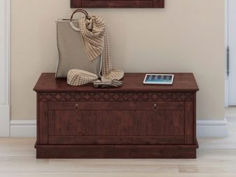 Тумба з сидінням в передпокій (52 фото): види тумбочок з м’яким сидінням у коридор. Особливості дизайну і правила вибору