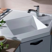 Тумби під мийку на кухню (45 фото): шафи під раковину з розмірами 60х80 та 50х60 см, вибір підлогових кухонних тумбочок