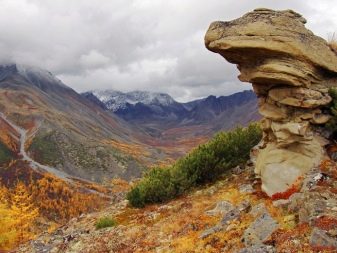 Турмалін (57 фото): лікувальні та інші властивості каменю, його значення для людини. Дія мінералу на організм. Опис зеленого каменю і турмаліну інших кольорів