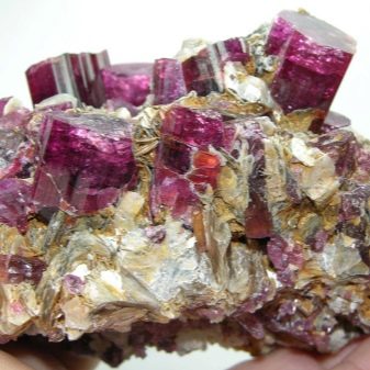 Турмалін (57 фото): лікувальні та інші властивості каменю, його значення для людини. Дія мінералу на організм. Опис зеленого каменю і турмаліну інших кольорів