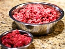 Тувинська вівчарка (25 фото): опис породи. Стандарт собак. Як годувати щенят?