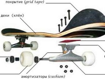 У чому різниця між лонгбордом та скейтбордом? Чим відрізняються конструкції? Що краще вибрати для початківців і для дитини?