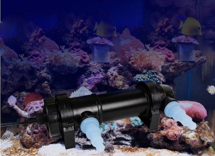 УФ-стерилізатори для акваріума (16 фото): навіщо потрібна акваріумна ультрафіолетова лампа? Користь і шкода світильників для дезінфекції води