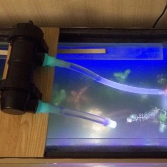 УФ-стерилізатори для акваріума (16 фото): навіщо потрібна акваріумна ультрафіолетова лампа? Користь і шкода світильників для дезінфекції води