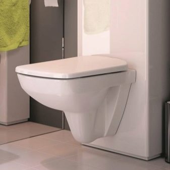 Унітази без бачка (35 фото): як вибрати підлогові моделі без зливного бачка в туалет? Особливості системи змиву безбачковых унітазів