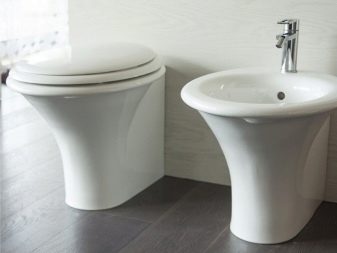 Унітази без бачка (35 фото): як вибрати підлогові моделі без зливного бачка в туалет? Особливості системи змиву безбачковых унітазів