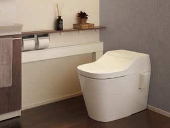 Унітази без бачка (35 фото): як вибрати підлогові моделі без зливного бачка в туалет? Особливості системи змиву безбачковых унітазів