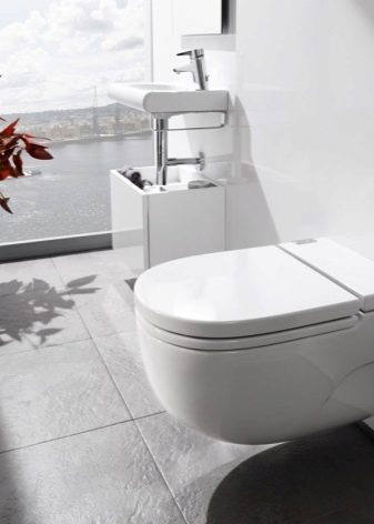 Унітази Roca: особливості підвісних і безободковых моделей, огляд унітазів Gap Clean Rim і Victoria Nord, Dama Senso Compacto і Debba, відгуки