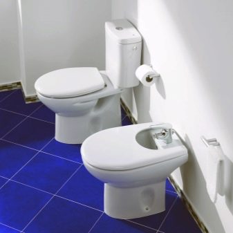 Унітази Roca: особливості підвісних і безободковых моделей, огляд унітазів Gap Clean Rim і Victoria Nord, Dama Senso Compacto і Debba, відгуки