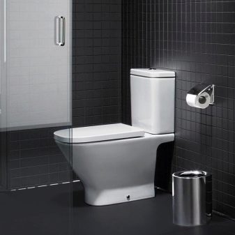 Унітази Roca: особливості підвісних і безободковых моделей, огляд унітазів Gap Clean Rim і Victoria Nord, Dama Senso Compacto і Debba, відгуки