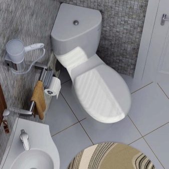 Унітази Roca: особливості підвісних і безободковых моделей, огляд унітазів Gap Clean Rim і Victoria Nord, Dama Senso Compacto і Debba, відгуки