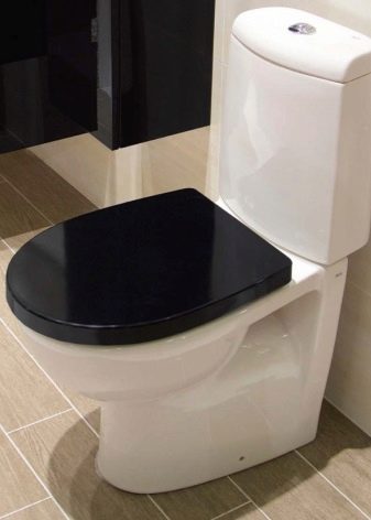 Унітази Roca: особливості підвісних і безободковых моделей, огляд унітазів Gap Clean Rim і Victoria Nord, Dama Senso Compacto і Debba, відгуки