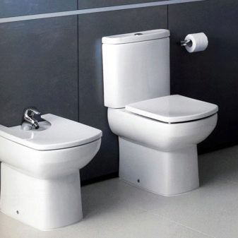 Унітази Roca: особливості підвісних і безободковых моделей, огляд унітазів Gap Clean Rim і Victoria Nord, Dama Senso Compacto і Debba, відгуки