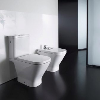 Унітази Roca: особливості підвісних і безободковых моделей, огляд унітазів Gap Clean Rim і Victoria Nord, Dama Senso Compacto і Debba, відгуки