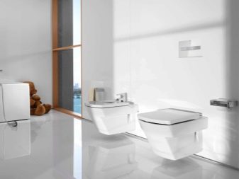 Унітази Roca: особливості підвісних і безободковых моделей, огляд унітазів Gap Clean Rim і Victoria Nord, Dama Senso Compacto і Debba, відгуки