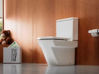 Унітази Roca: особливості підвісних і безободковых моделей, огляд унітазів Gap Clean Rim і Victoria Nord, Dama Senso Compacto і Debba, відгуки