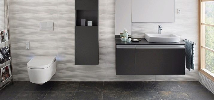 Унітази Roca: особливості підвісних і безободковых моделей, огляд унітазів Gap Clean Rim і Victoria Nord, Dama Senso Compacto і Debba, відгуки