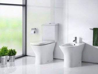 Унітази Roca: особливості підвісних і безободковых моделей, огляд унітазів Gap Clean Rim і Victoria Nord, Dama Senso Compacto і Debba, відгуки