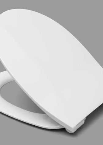 Унітази Roca: особливості підвісних і безободковых моделей, огляд унітазів Gap Clean Rim і Victoria Nord, Dama Senso Compacto і Debba, відгуки