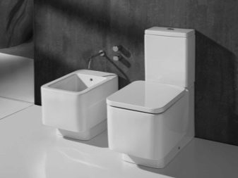 Унітази Roca: особливості підвісних і безободковых моделей, огляд унітазів Gap Clean Rim і Victoria Nord, Dama Senso Compacto і Debba, відгуки