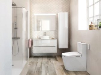 Унітази Roca: особливості підвісних і безободковых моделей, огляд унітазів Gap Clean Rim і Victoria Nord, Dama Senso Compacto і Debba, відгуки