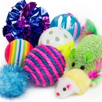 Уральські рекси (30 фото): опис породи, риси характеру кішок, відмінності короткошерстих і довгошерстих котів