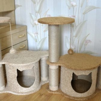 Уральські рекси (30 фото): опис породи, риси характеру кішок, відмінності короткошерстих і довгошерстих котів