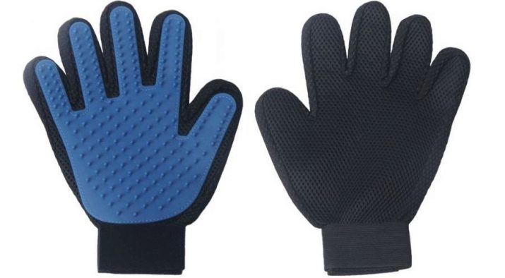 Уральські рекси (30 фото): опис породи, риси характеру кішок, відмінності короткошерстих і довгошерстих котів