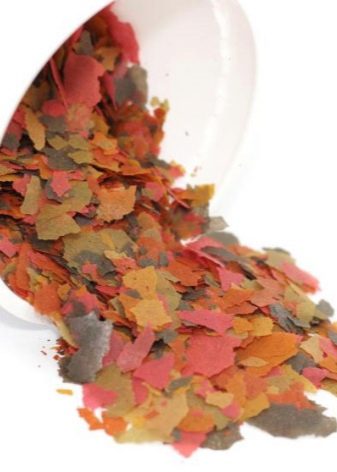 Утримання гуппі (15 фото): догляд за акваріумними рибками в домашніх умовах. Поради для початківців з утримання риб в маленькому акваріумі